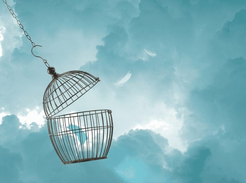 Open birdcage with feathers floating upward, representing emotional release, freedom and transformation.
